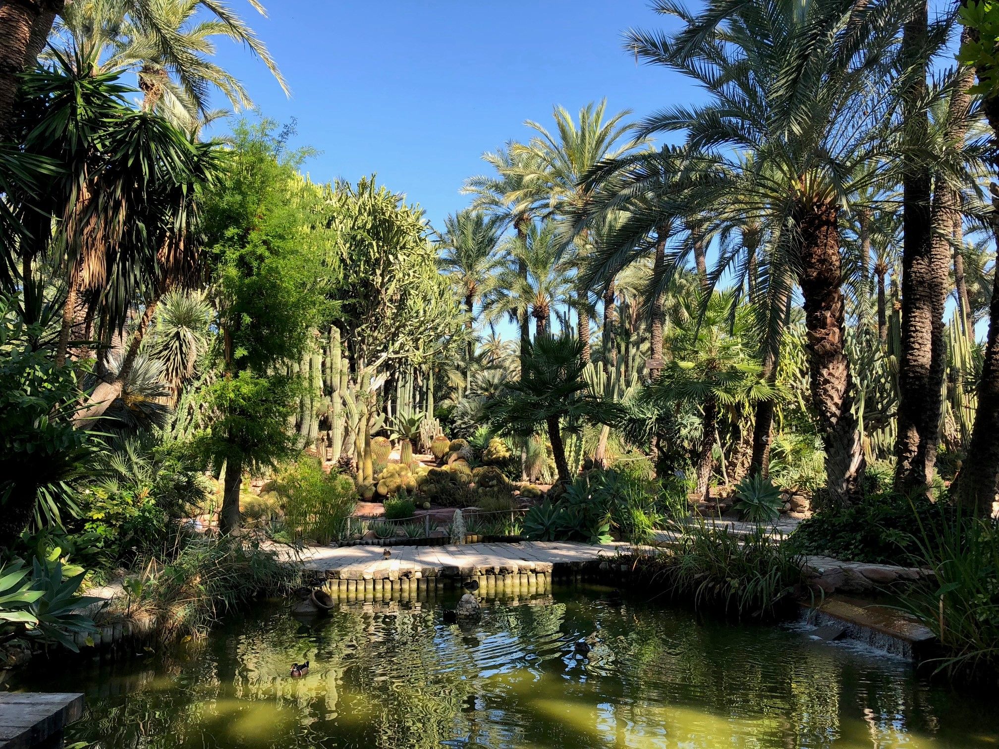 Jardín Huerto del Cura en Elche, Alicante